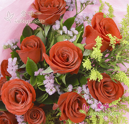 rosas rojas
