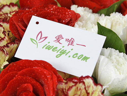 send a bouquet of red roses and multicolor carnations to China