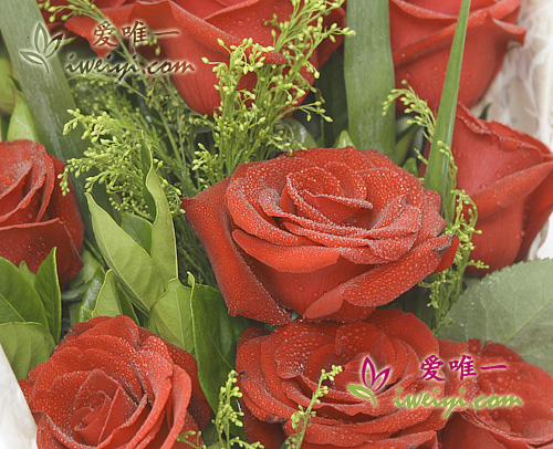 send a bouquet of red roses to China