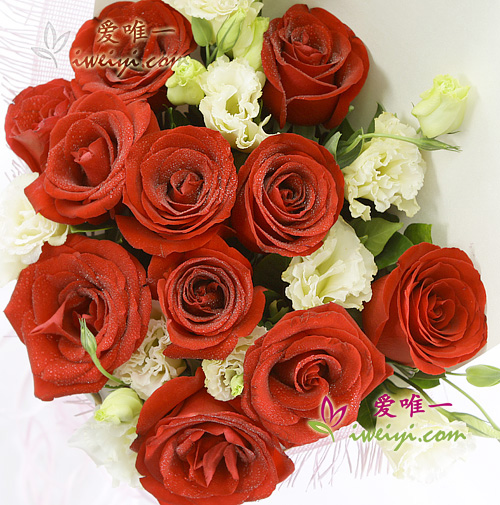 red roses