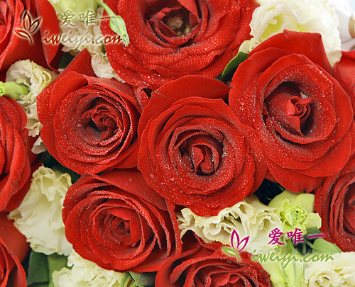 send a bouquet of red roses and champagne lisianthus to China