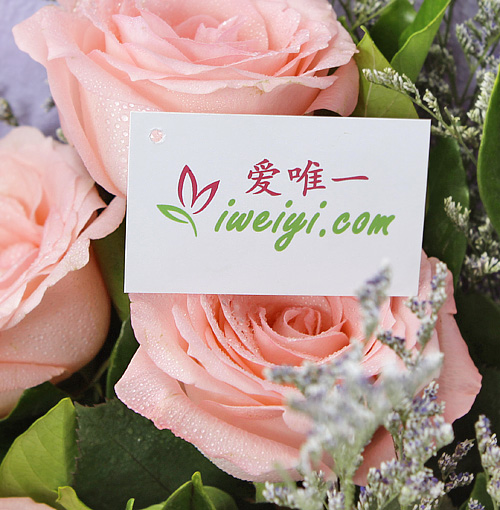 envoyer un bouquet de roses de couleur rose en Chine