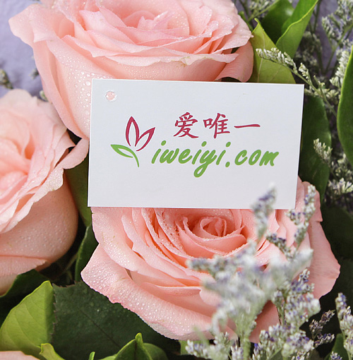 send a bouquet of pink roses to China