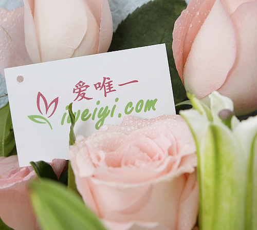 send a bouquet of pink roses and white lilies