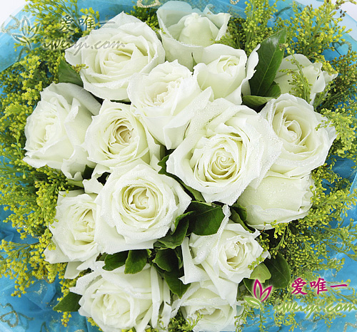 white roses