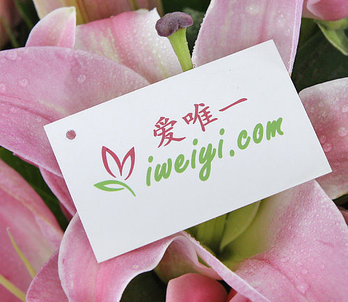 send a bouquet of pink roses and pink lilies to China