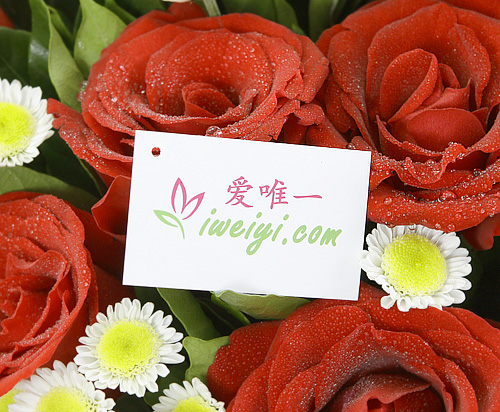 send a bouquet of red roses and white roses to China