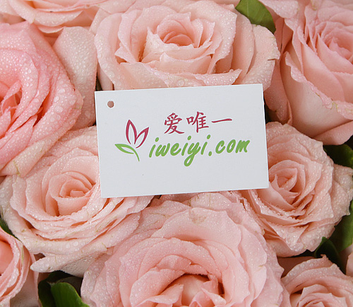 send a bouquet of pink roses to China