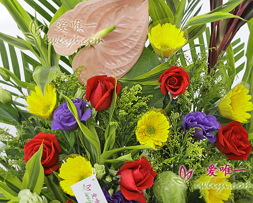 panier de roses rouges et de gerberas jaunes