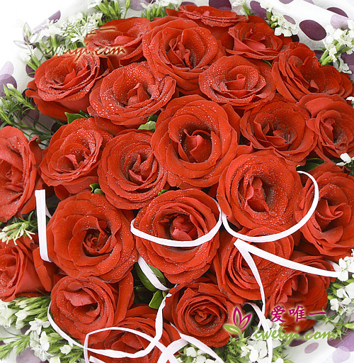 red roses