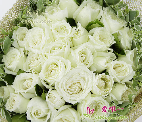 bouquet of white roses