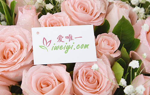 send a bouquet of pink roses to China