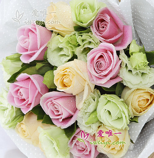 bouquet de roses