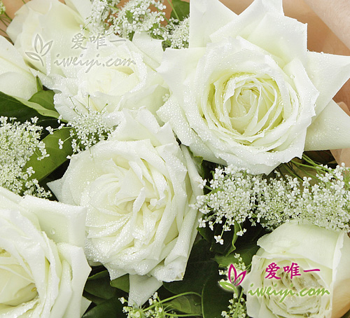 send a bouquet of white roses to China