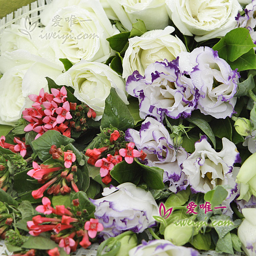 中国に白いバラの花束を送る