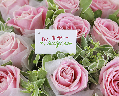 einen Strauß rosa Rosen nach China senden