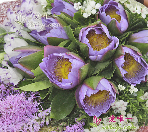 Le bouquet de fleurs « Sleeping beauty »