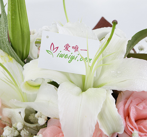 envoyer un bouquet de roses de couleur rose et de lys blanches en Chine