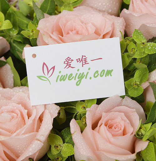 consegna di rose rosa in Cina