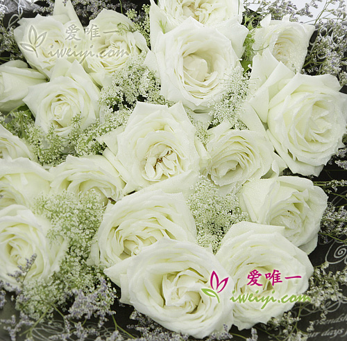 bouquet de roses blanches