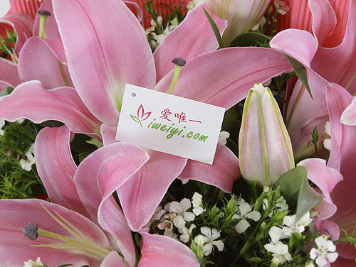 send a bouquet of pink lilies to China