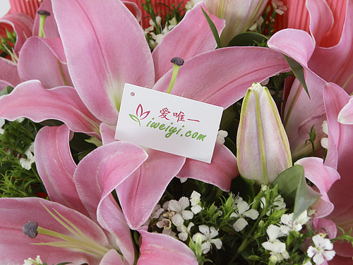 einen Strauß rosa Lilien nach China senden
