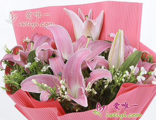 pink lilies