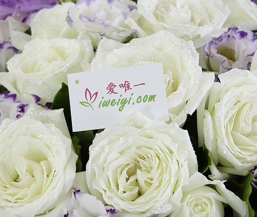 invia un mazzo di rose bianche in Cina