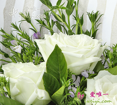 send a bouquet of white roses to China