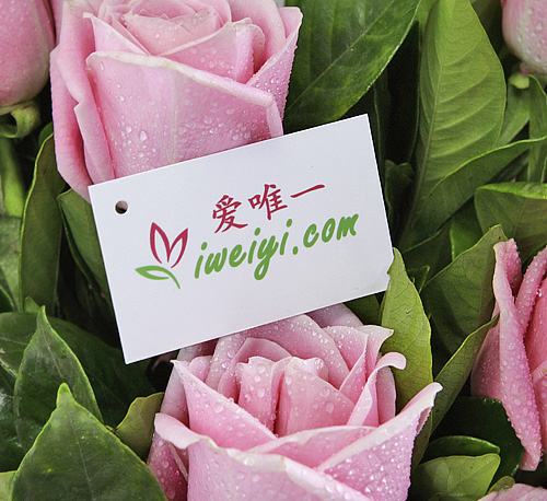 send a bouquet of pink roses to China