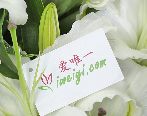 send a bouquet of perfume lilies to China