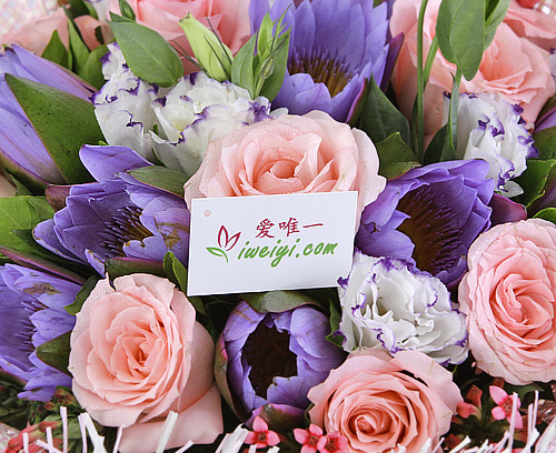 envoyer un bouquet de roses et de nénufars en Chine