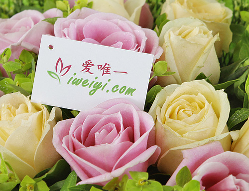 send a bouquet of pink roses and champagne roses to China