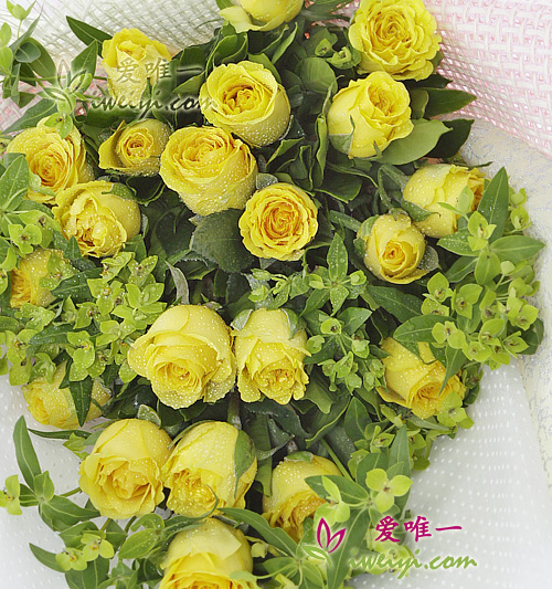 yellow roses