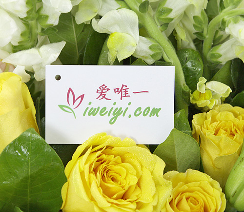 send a bouquet of yellow roses, white snapdragons and white lilies