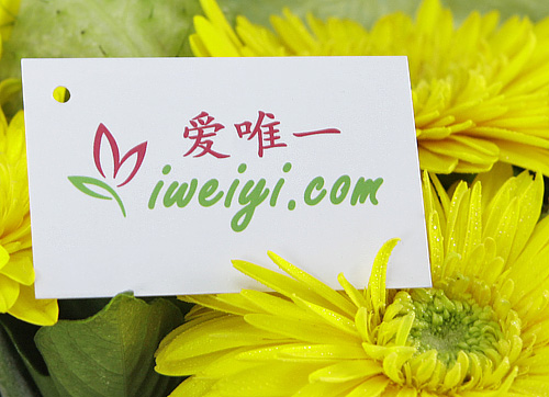 send a bouquet of yellow gerbera to China