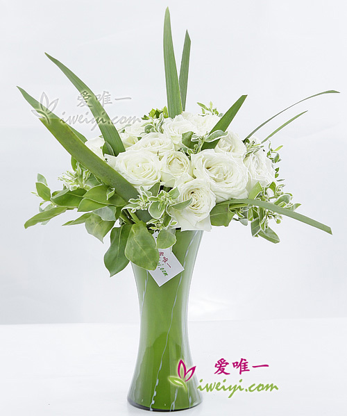 Le vase de fleurs « Peace on Earth »
