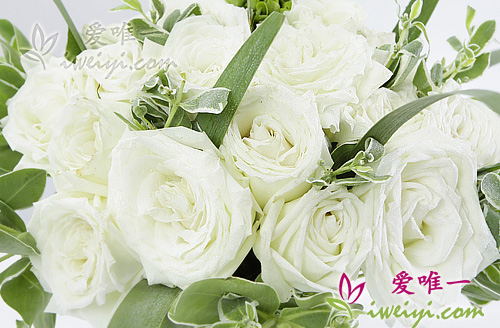 vase de roses blanches