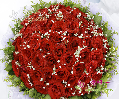 bouquet de 66 roses de couleur rouge