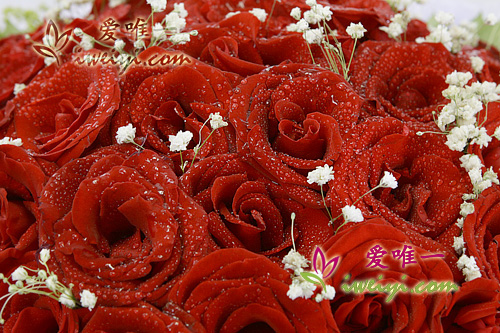 envoyer un bouquet de 66 roses de couleur rouge en Chine