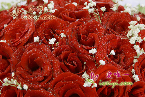 Bouquet of red roses