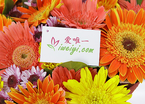einen Strauß aus rosa Gerbera, gelben Gerbera und orange Gerbera nach China senden
