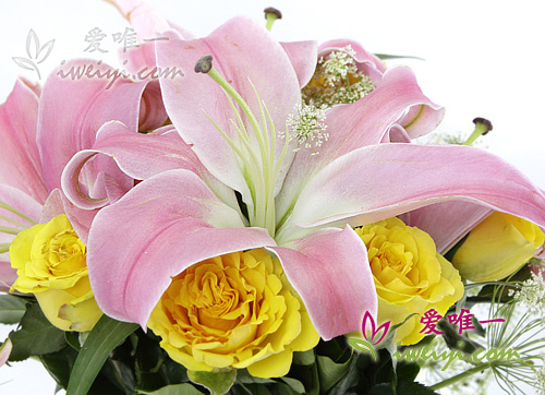 Pink lilies and yellow roses