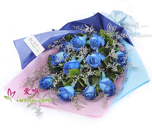 un bouquet de 11 roses de couleur bleu