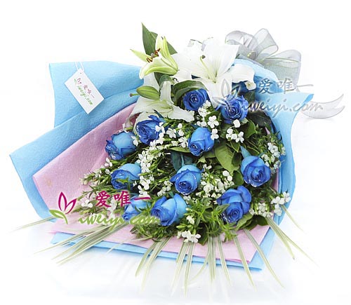 bouquet de 11 roses de couleur bleu et de 1 lys de couleur blanc