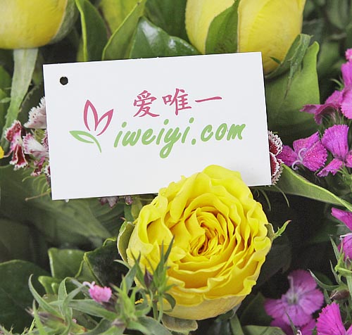 send a bouquet of yellow roses to China