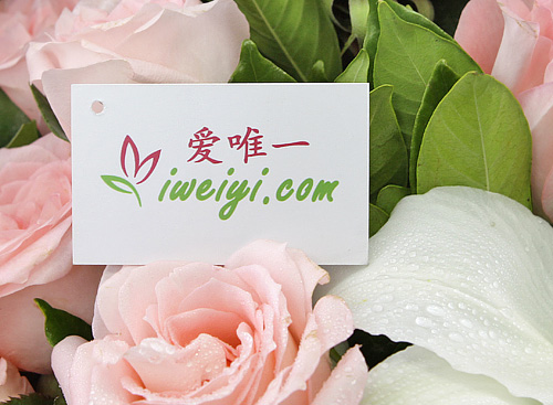 einen Strauß aus rosa Rosen und weißen Lilien nach China senden
