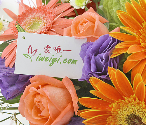 einen Strauß aus rosa Rosen, rosa Gerbera, orange Gerbera senden