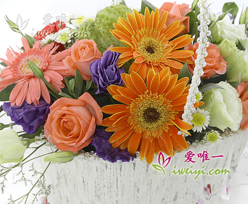 basket of 6 pink roses, 2 pink gerberas, 2 orange gerberas and lisianthus