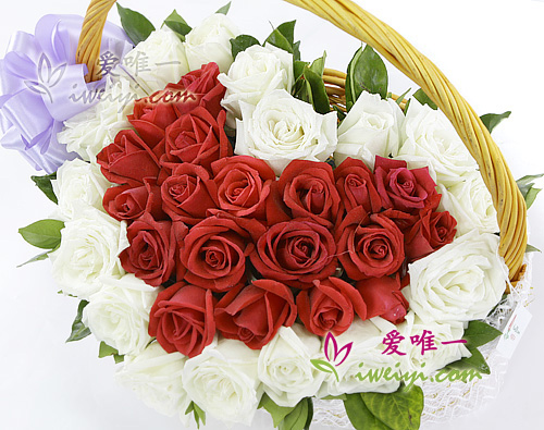 Basket composed of 19 red roses and 19 white roses